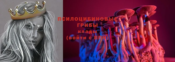 гидропоника Михайловка