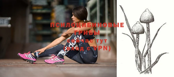 прущая мука Михайловск
