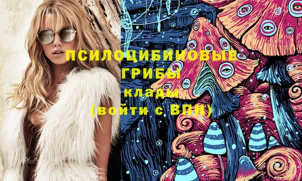 гидропоника Михайловка