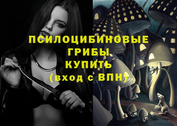 тгк Барнаул