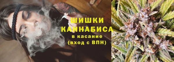 амф Ессентукская