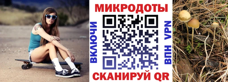 OMG зеркало  купить закладку  Заволжск  Галлюциногенные грибы мухоморы 